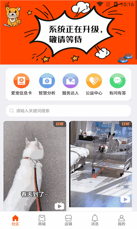 世纪天宠